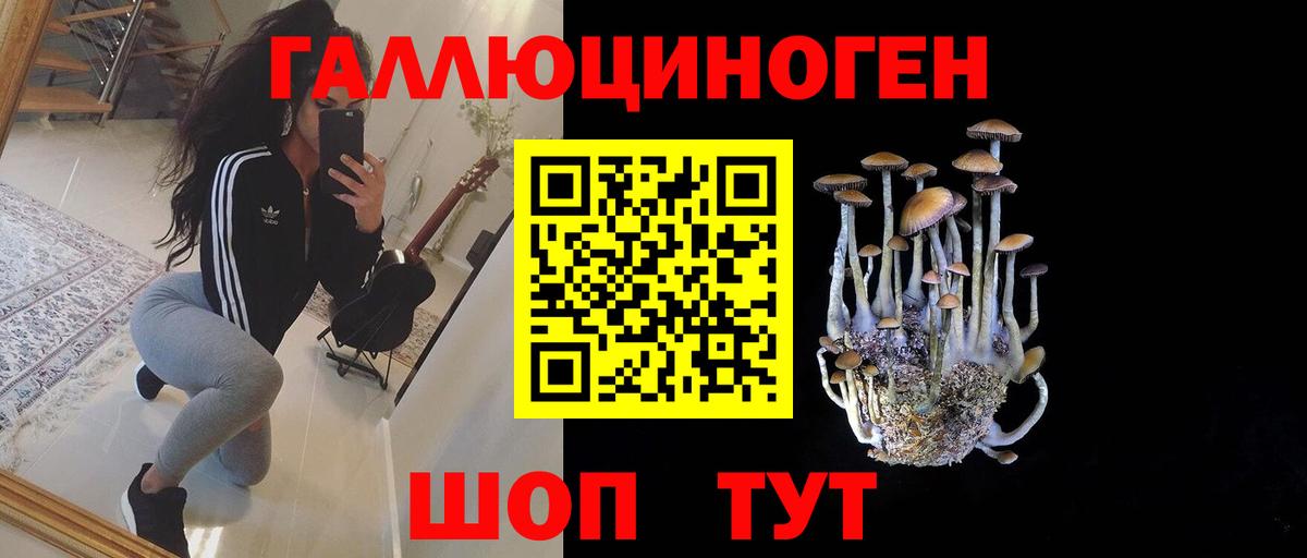 купить  сайты  Вход с VPN  Семёнов  Псилоцибиновые грибы MAGIC MUSHROOMS 
